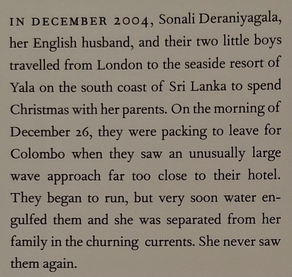 WAVE - Sonali Deraniyagala - Image 3