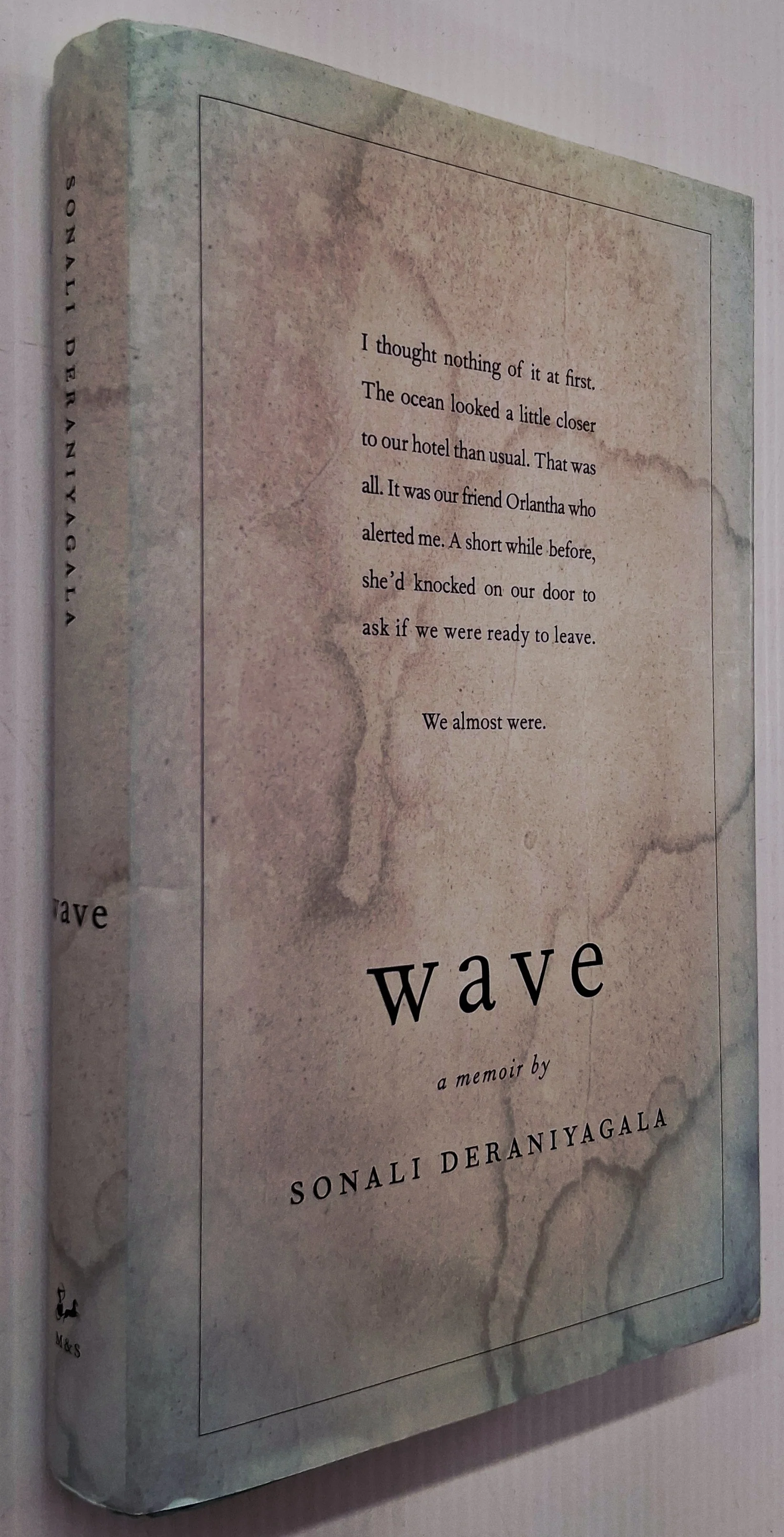 WAVE - Sonali Deraniyagala - Image 4
