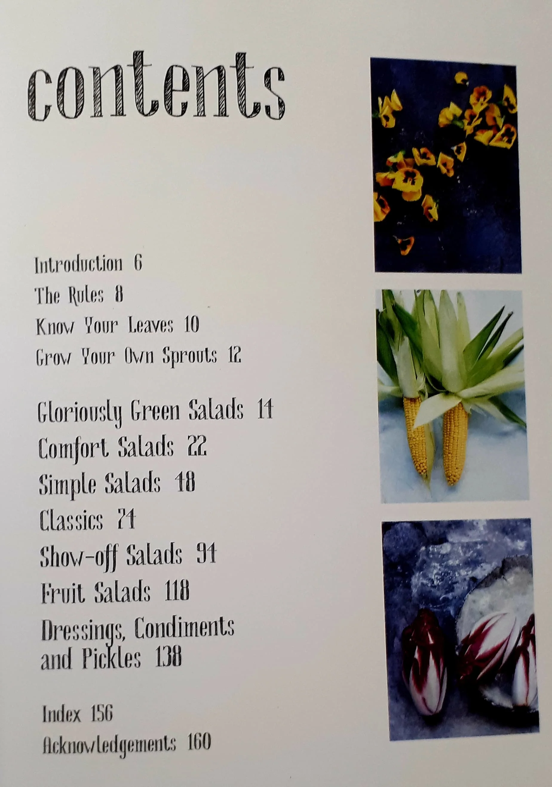 SKINNY SALADS - Kathryn Burton - Image 3