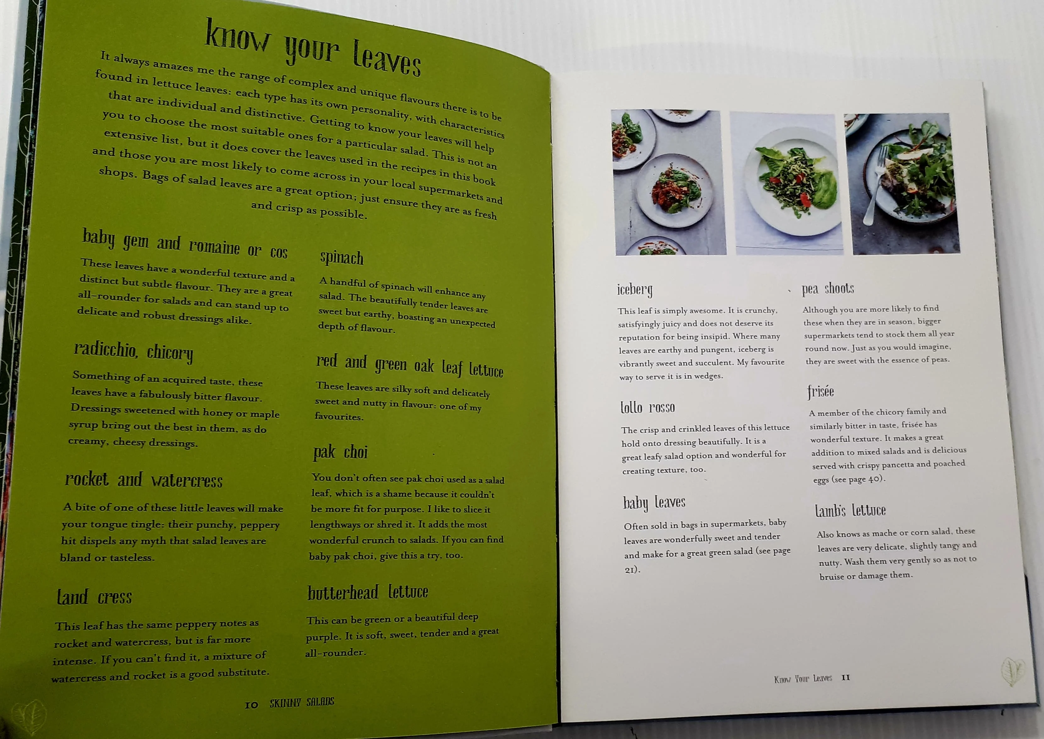 SKINNY SALADS - Kathryn Burton - Image 4