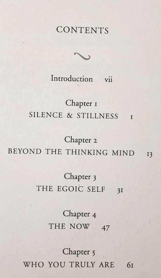 STILLNESS SPEAKS - Eckhart Tolle - Image 4