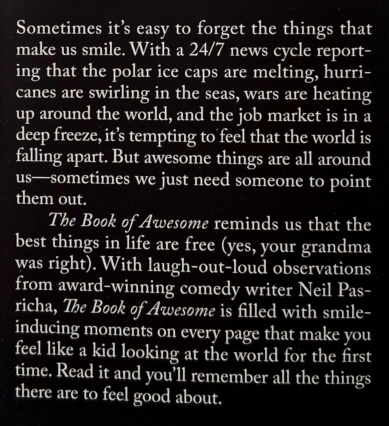 THE BOOK OF AWESOME - Neil Pasricha - Image 3