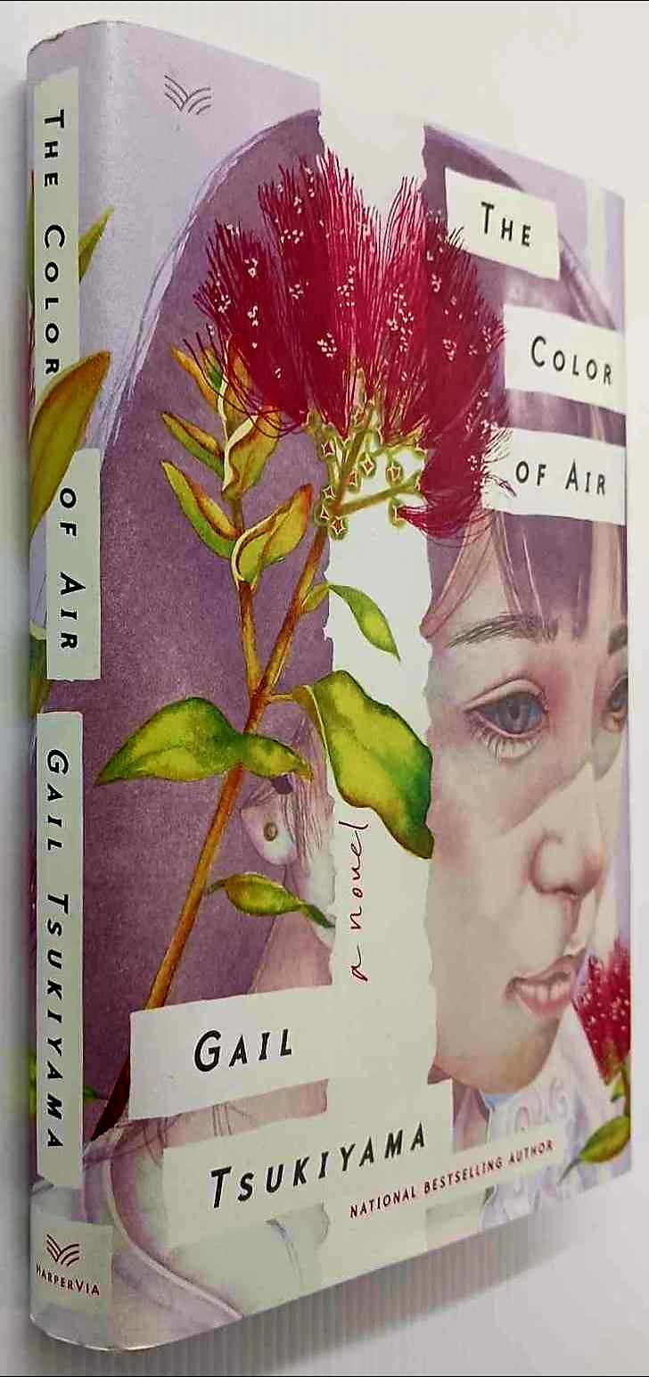 THE COLOR OF AIR - Gail Tsukiyama - Image 4