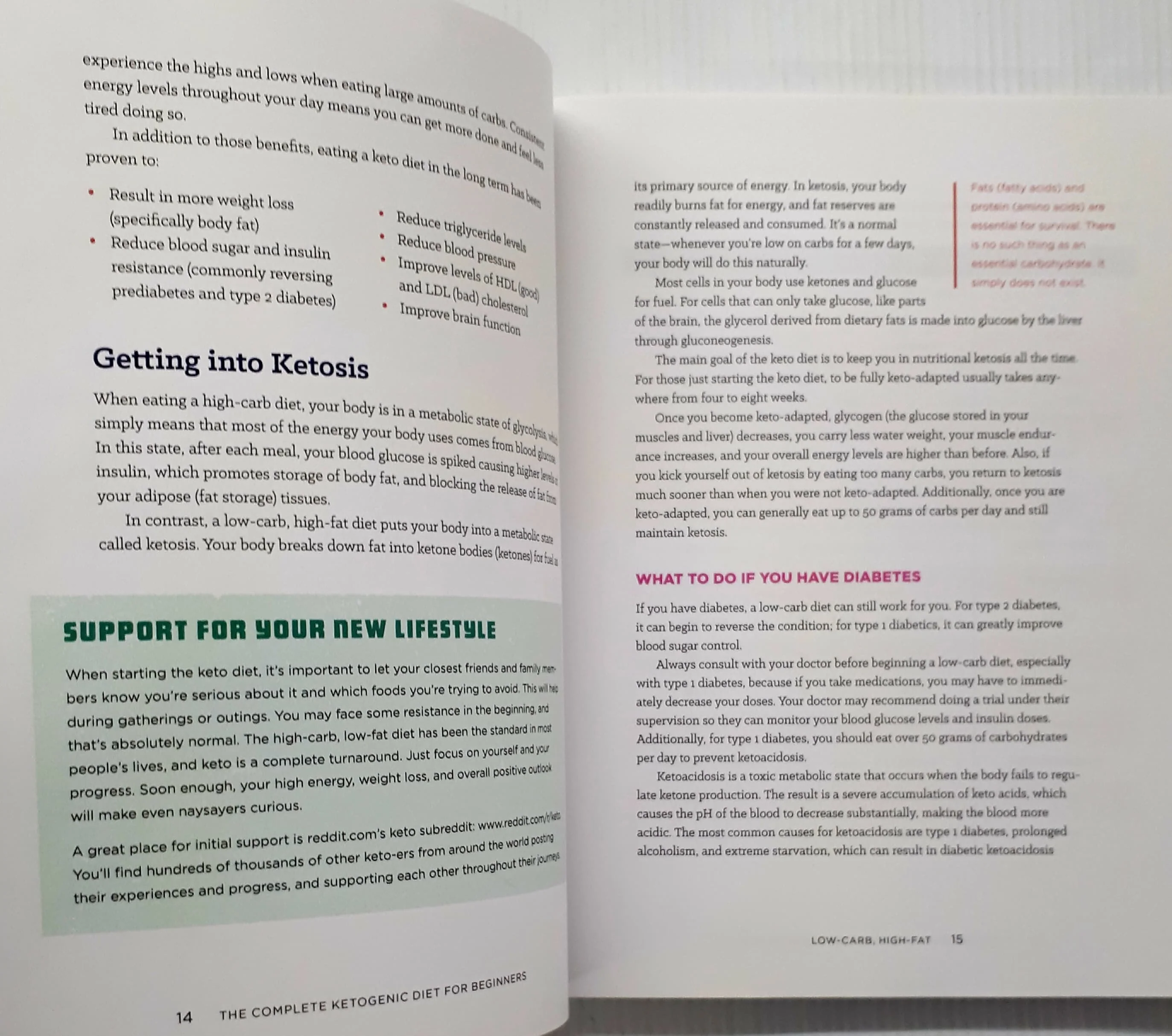 THE COMPLETE KETOGENIC DIET FOR BEGINNERS - Amy Ramos - Image 5