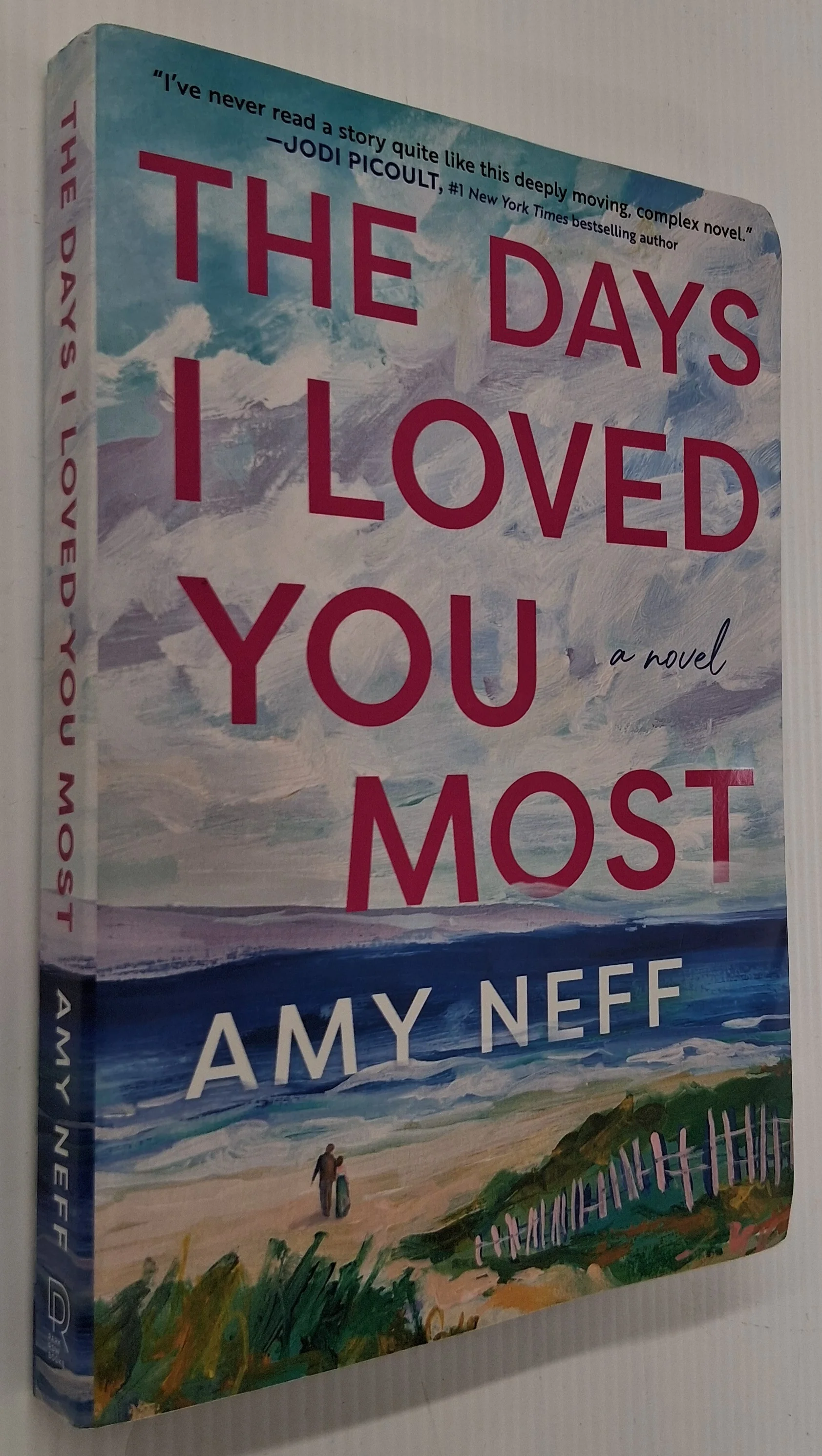 THE DAYS I LOVED YOU MOST - Amy Neff - Image 4