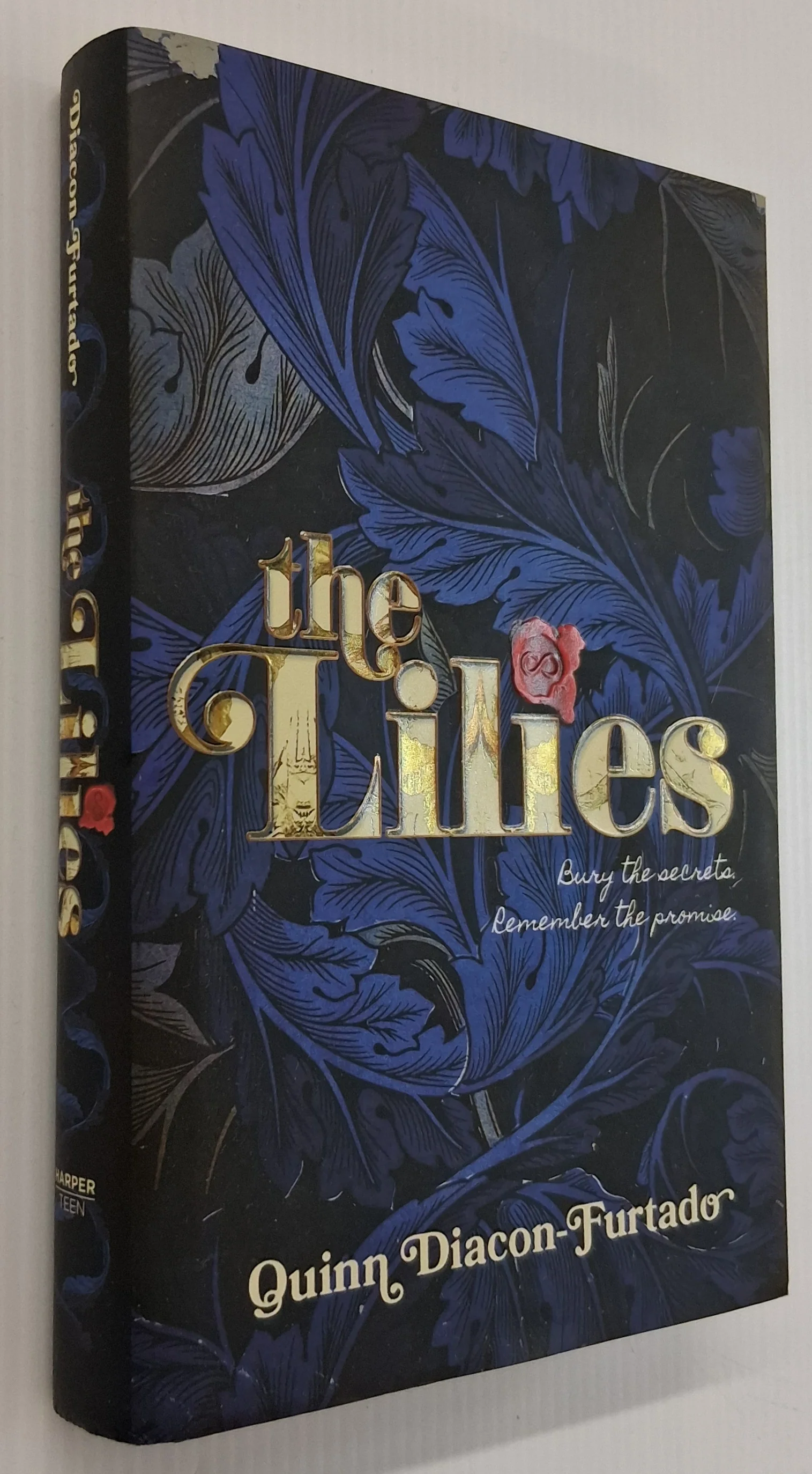 THE LILIES - Quinn Diacon-Furtado - Image 4