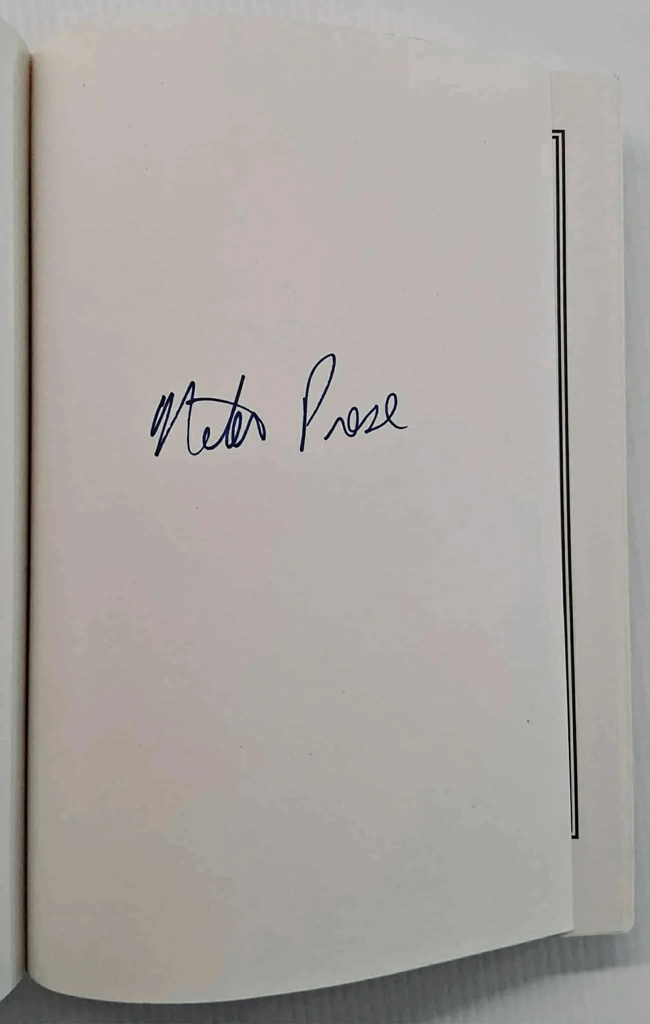 THE MYSTERY GUEST (SIGNED) - Nita Prose - Image 4