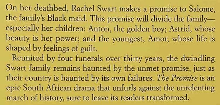 THE PROMISE - Damon Galgut - Image 3