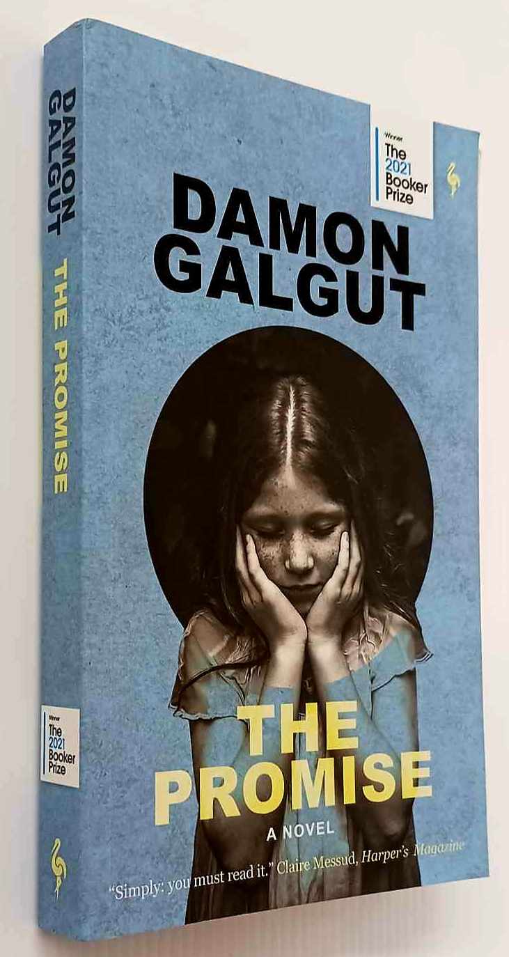 THE PROMISE - Damon Galgut - Image 4