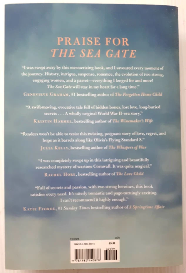 THE SEA GATE - Jane Johnson - Image 2