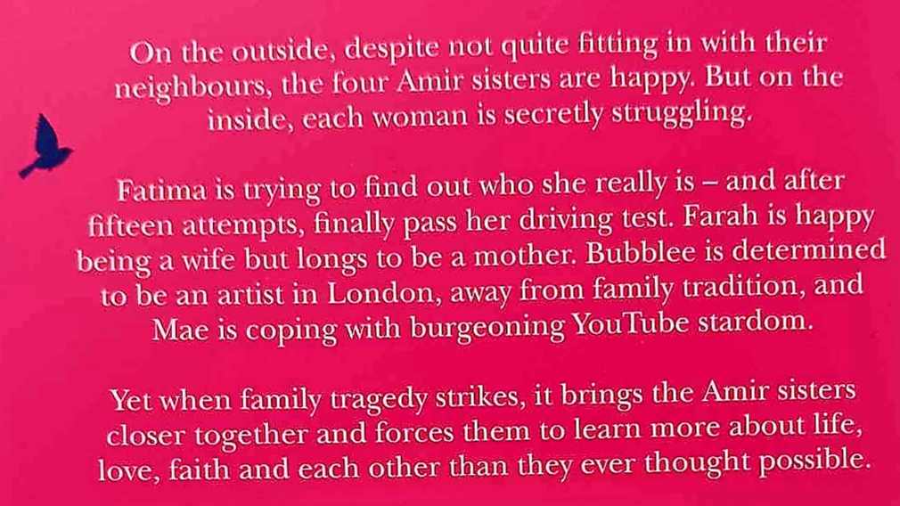 THE SECRET LIVES OF THE AMIR SISTERS - Nadiya Hussain - Image 3