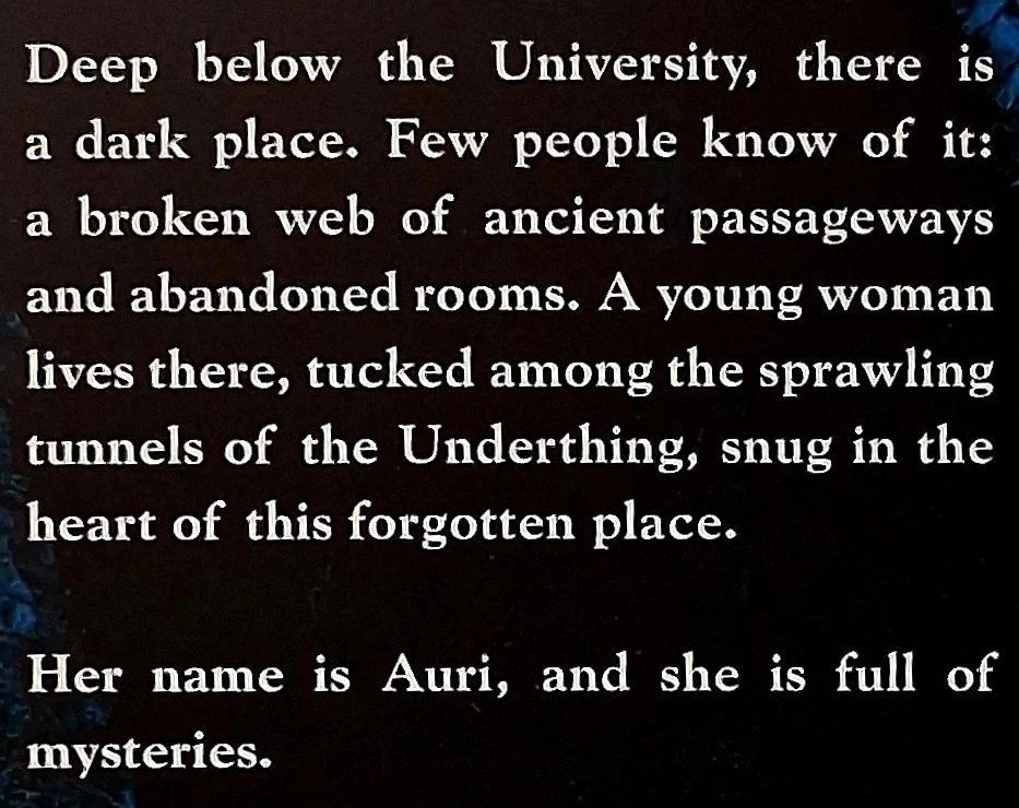 THE SLOW REGARD OF SILENT THINGS - Patrick Rothfuss - Image 3