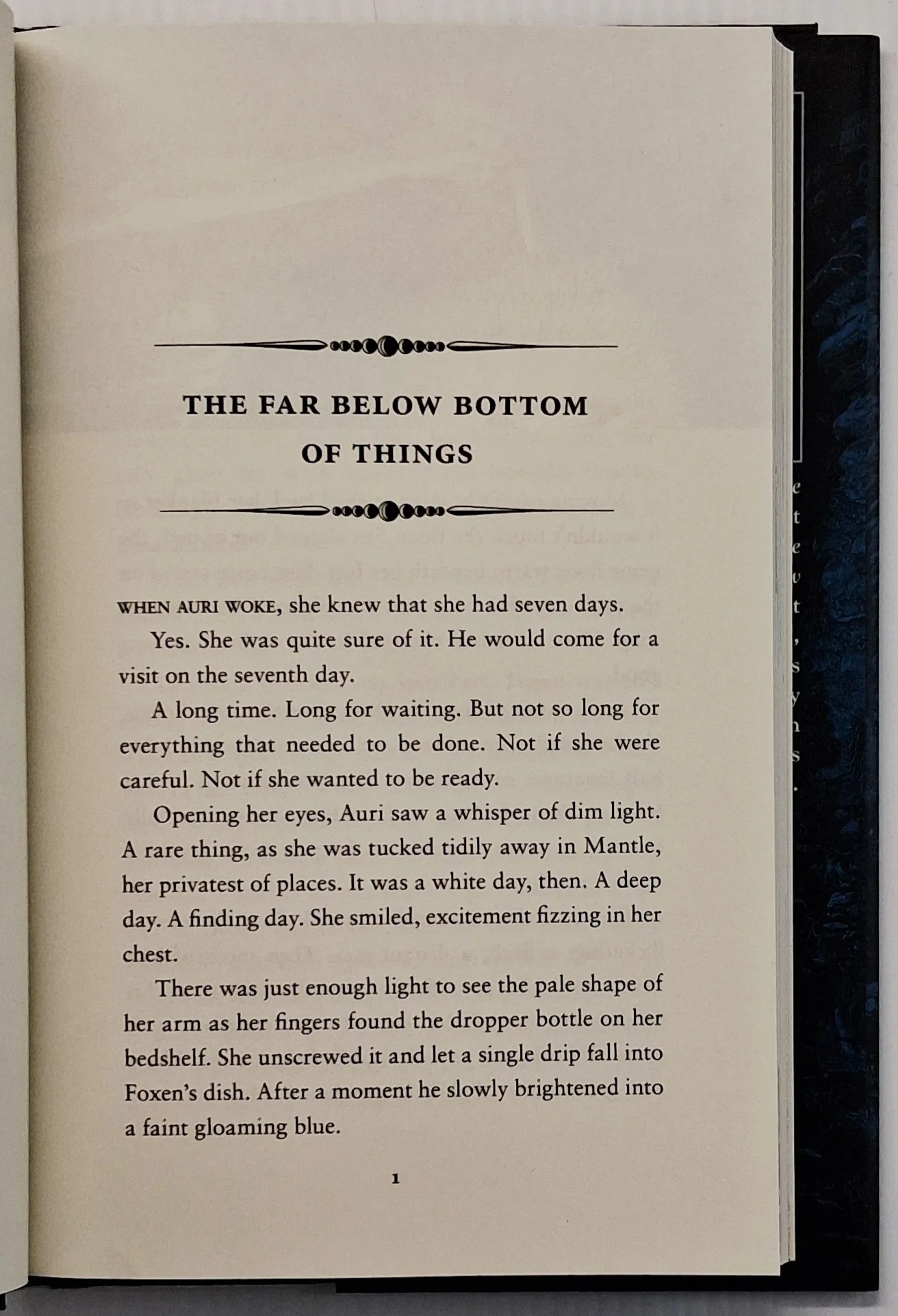 THE SLOW REGARD OF SILENT THINGS - Patrick Rothfuss - Image 6
