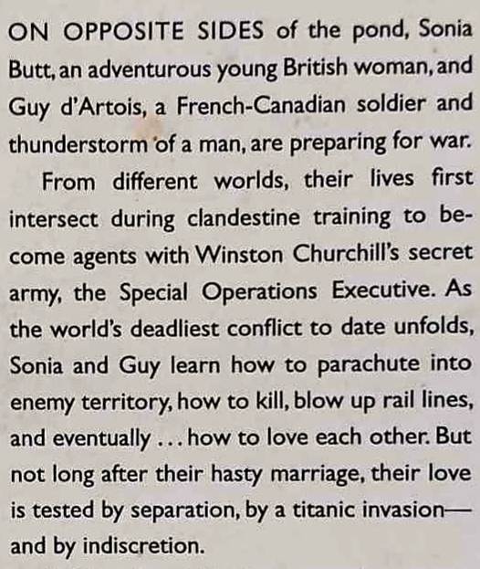 THE WAR WE WON APART - Nahlah Ayed - Image 3