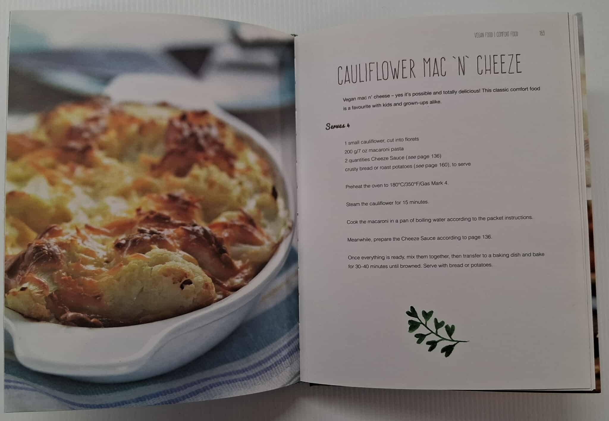 VEGAN FOOD - Saskia Fraser - Image 13