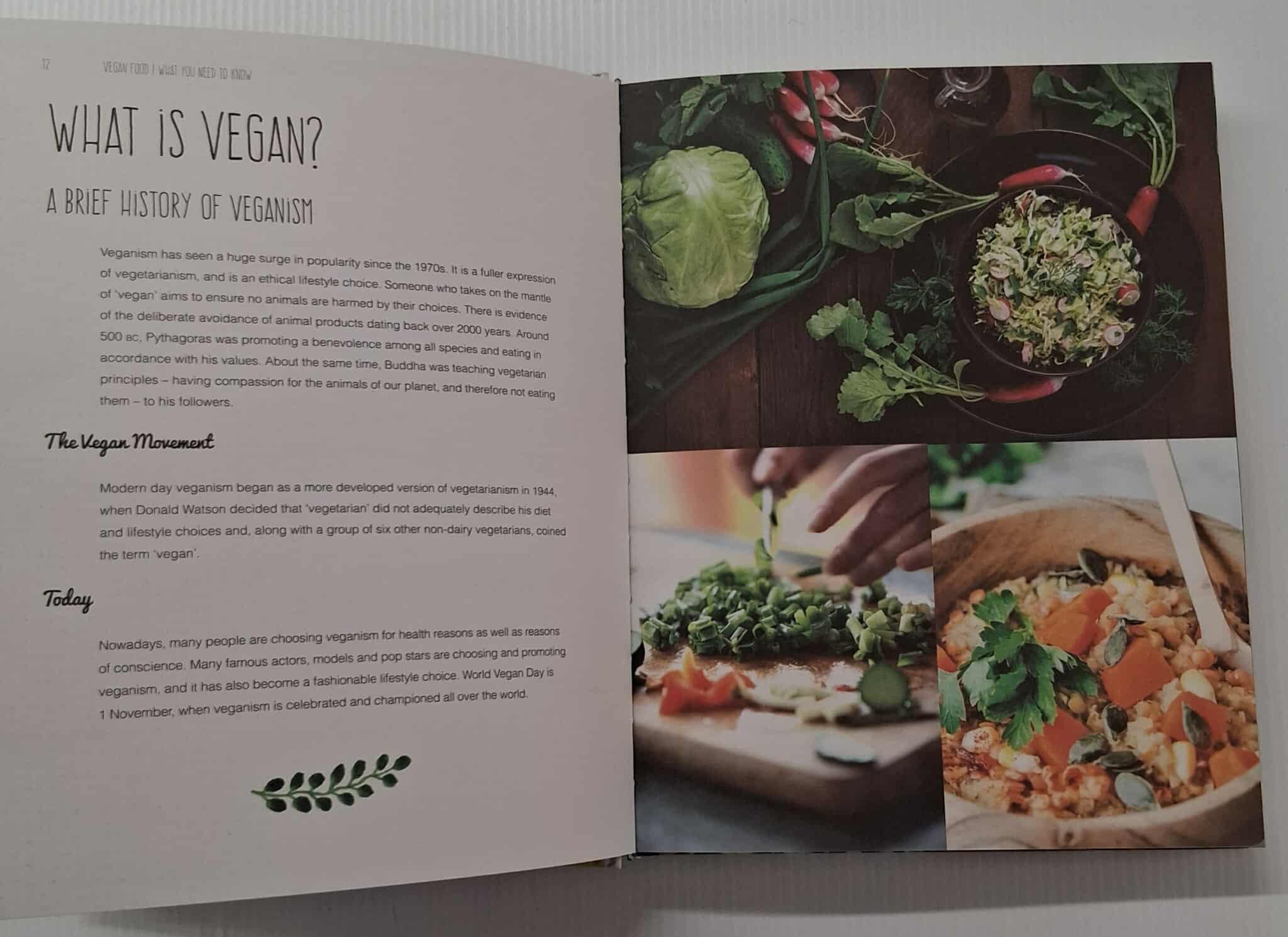VEGAN FOOD - Saskia Fraser - Image 4