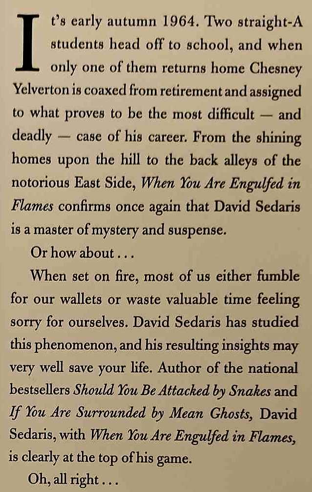 WHEN YOU ARE ENGULFED IN FLAMES - David Sedaris - Image 3